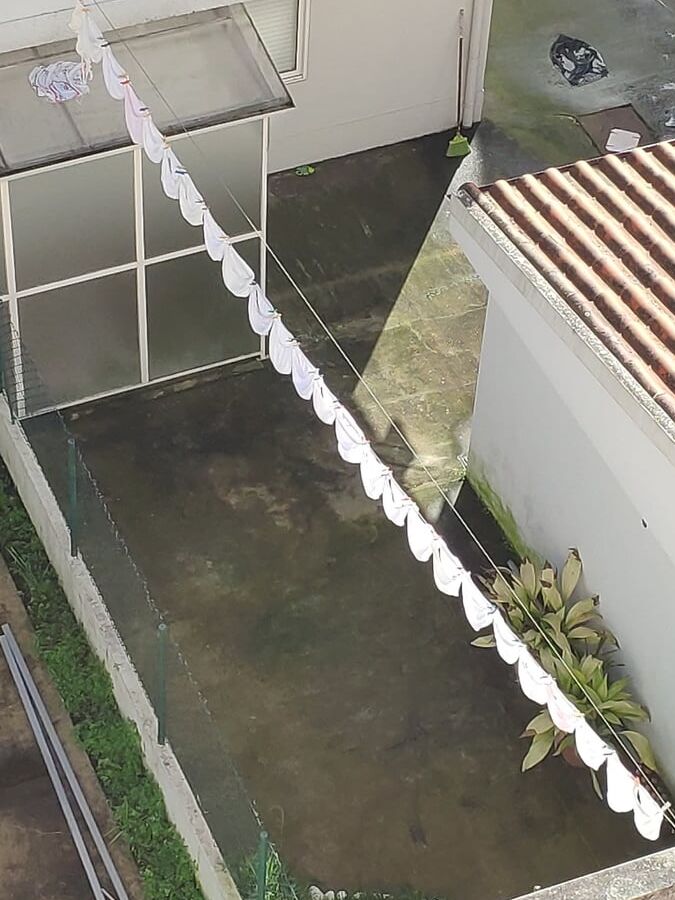 O arame da vizinha