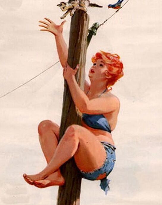 Plus-Size Pin-Up Hilda