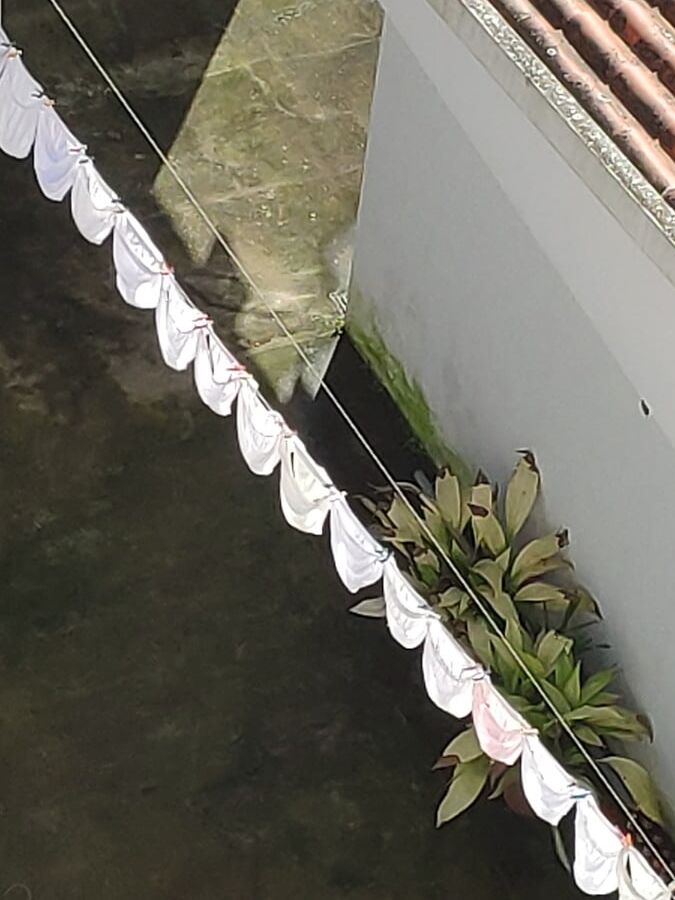 O arame da vizinha