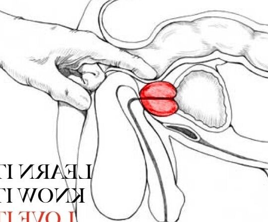 I love ass play