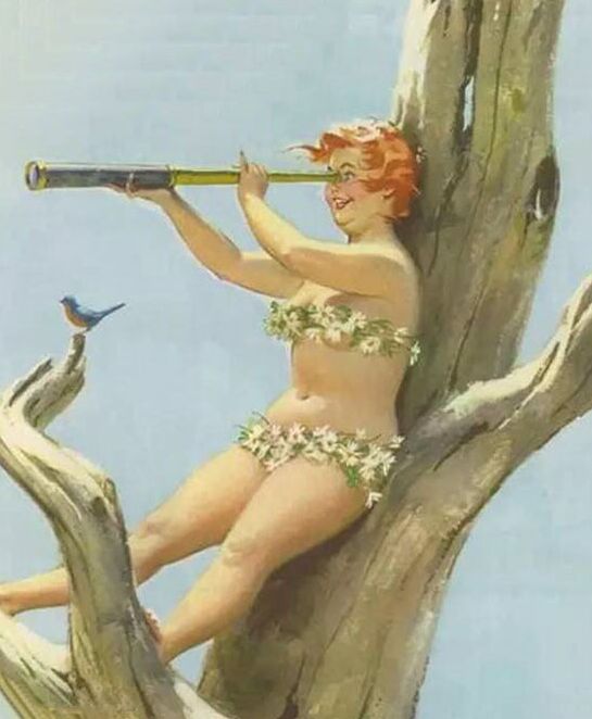 Plus-Size Pin-Up Hilda
