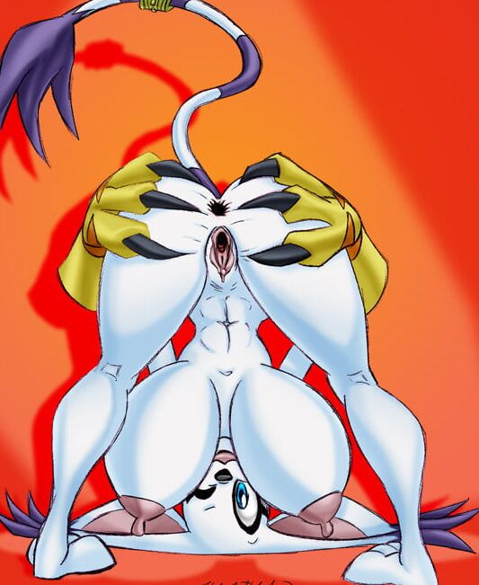 SoloSpotlight: Gatomon