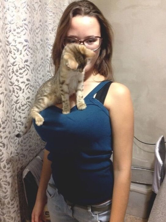 Cats