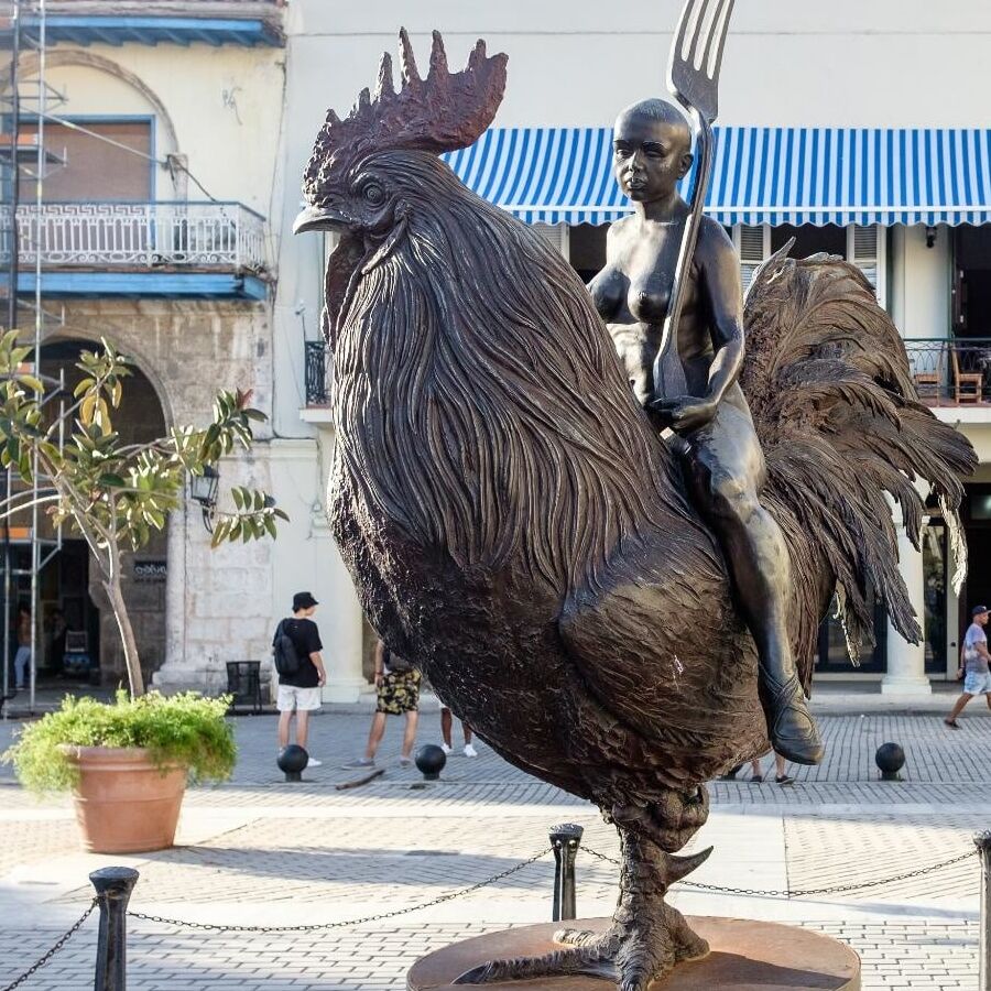 wild chicken
