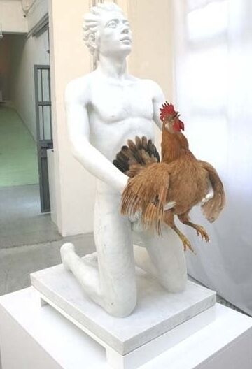 wild chicken