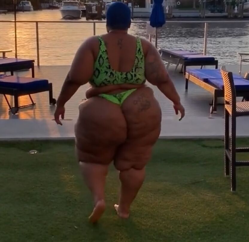Gordinhas Que Admiro (BBWs That I Admire )