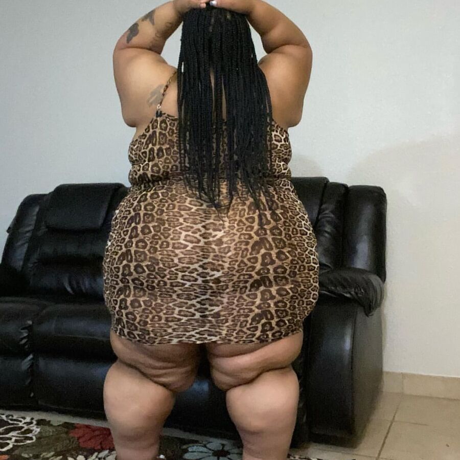 Bunnnii The Body