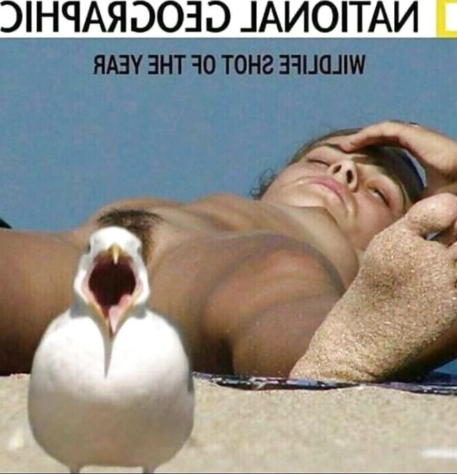 Laff Yer FUCKIN&; COCK Off!!!