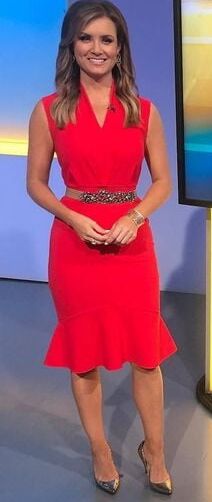 SEXY FOX NEWS ANCHOR JILLIAN MELE