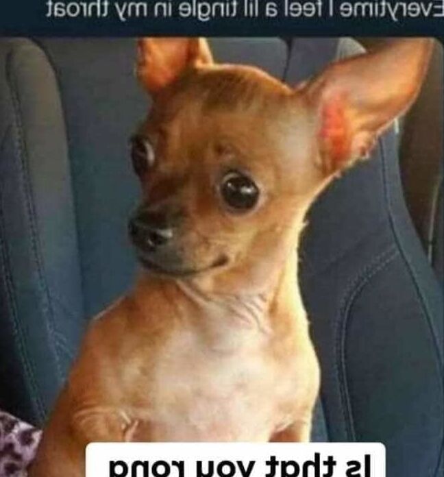 funny funnny