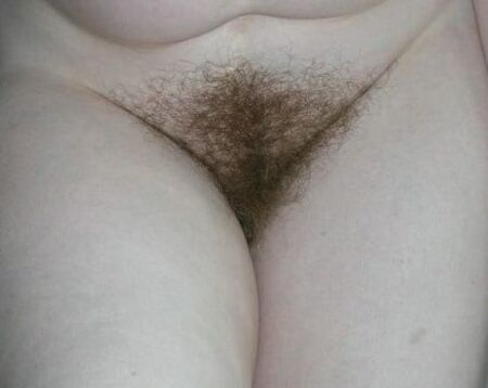 Mixed hairy pussy collection