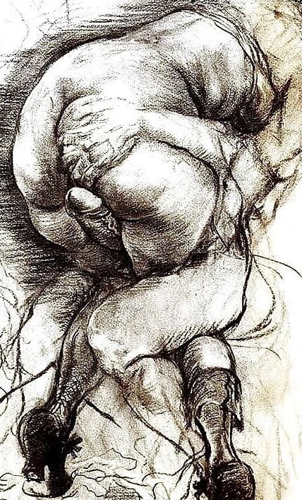 dessin erotique