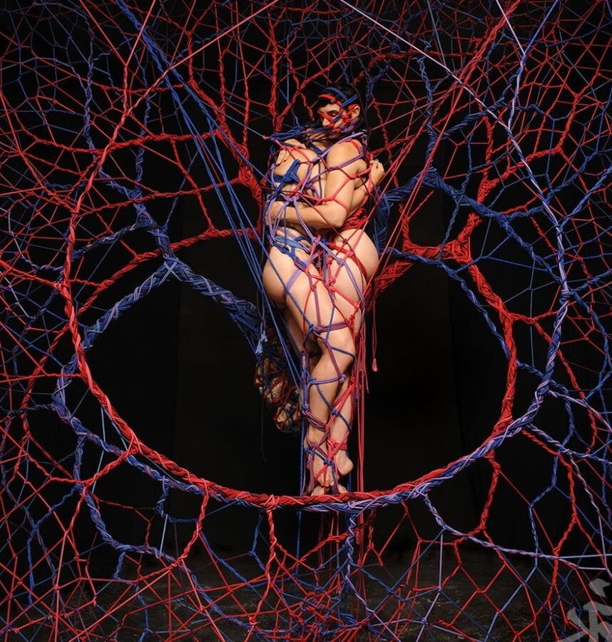 The Art of Shibari II