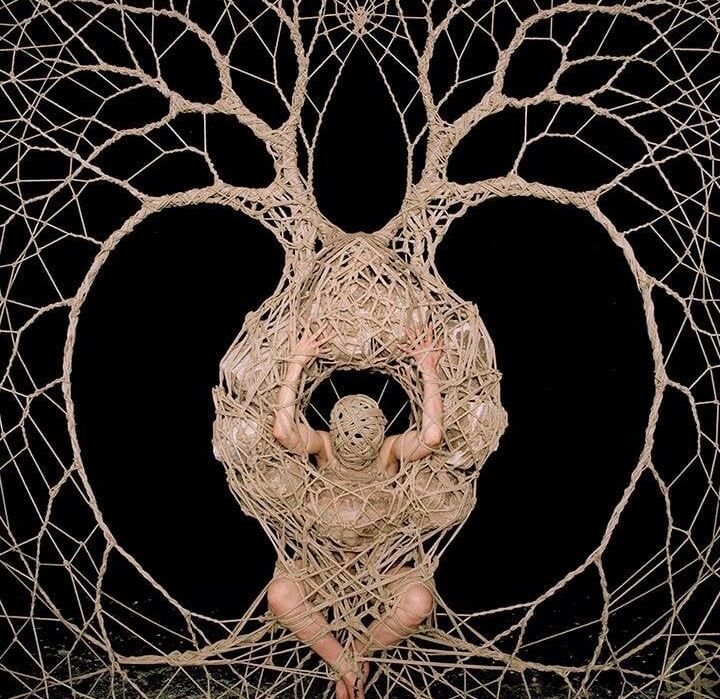 The Art of Shibari II