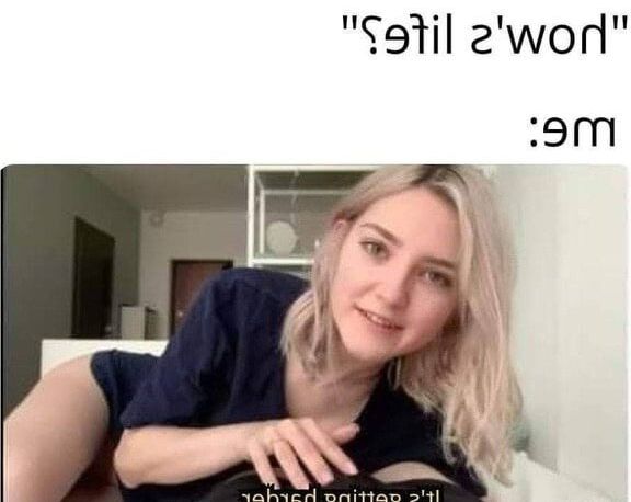 Funny porn memes