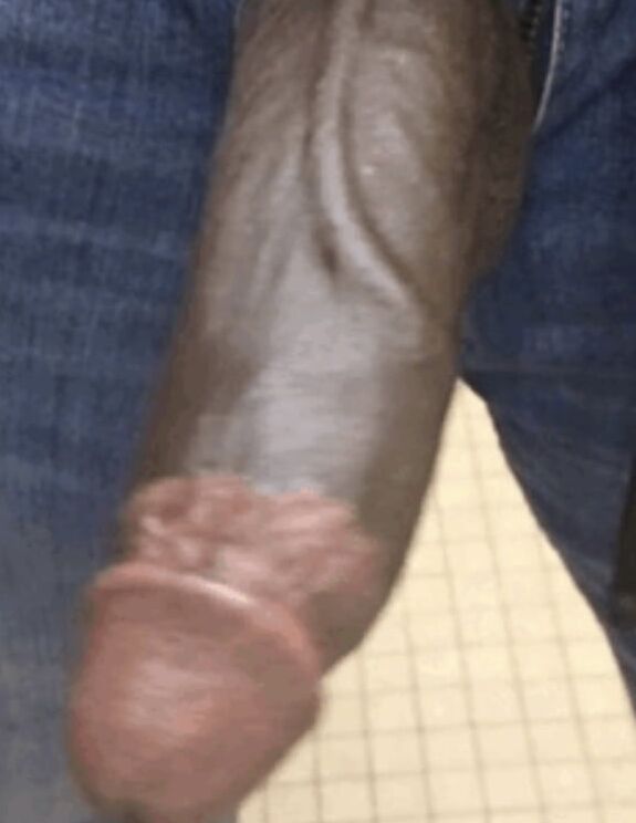 Beautiful cocks