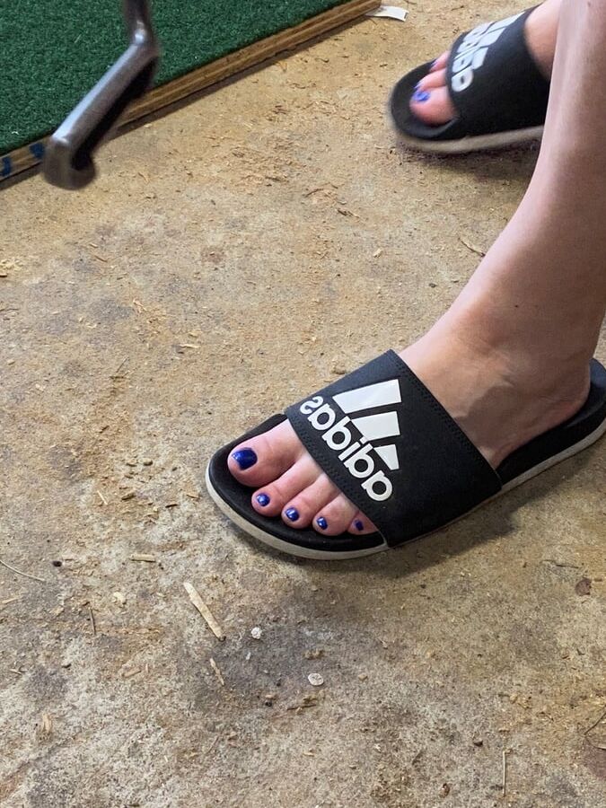Wife