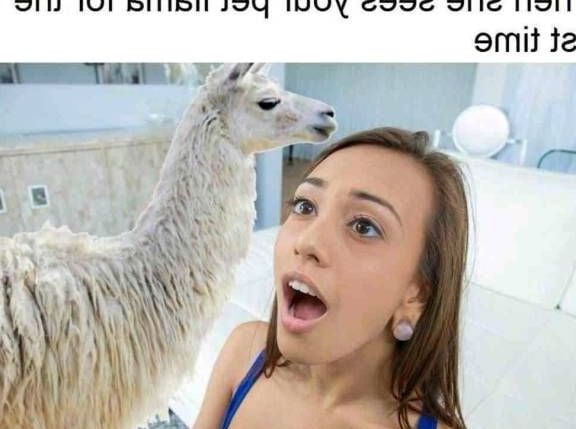 Funny porn memes