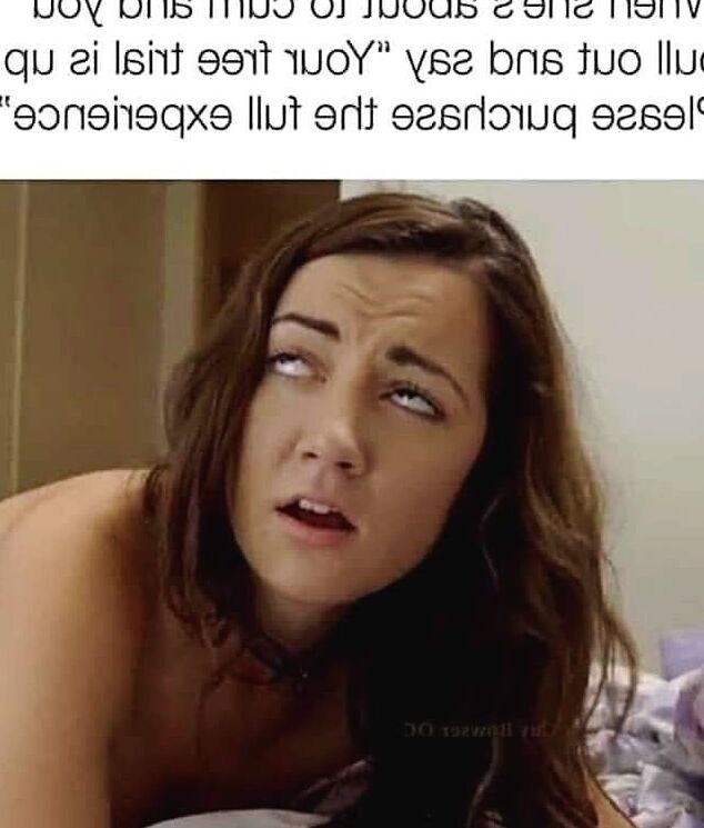 Funny porn memes