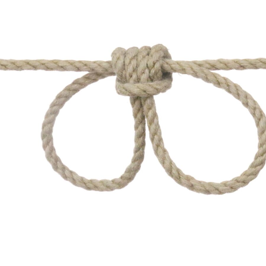 The Art of Shibari II