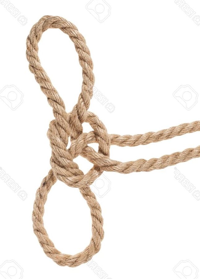 The Art of Shibari II