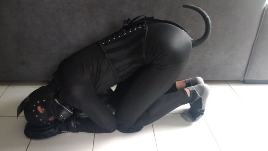 Petplay bdsm