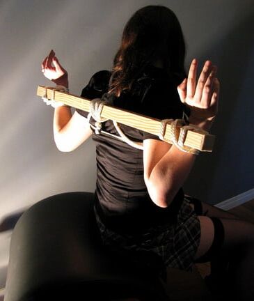The Art of Shibari II
