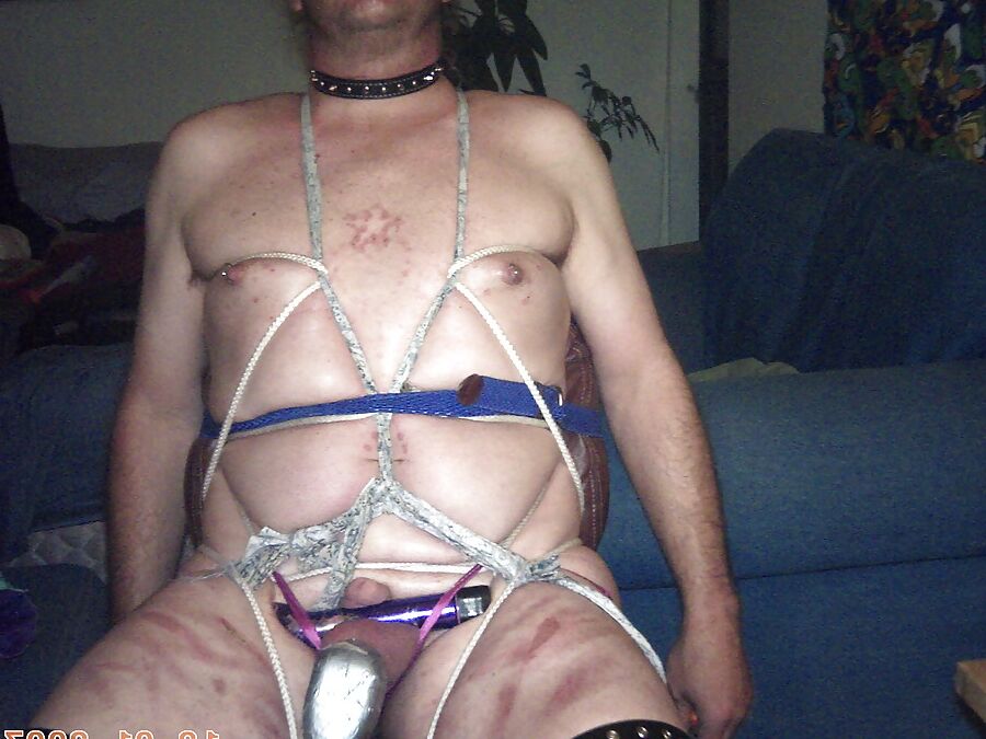 New equipement for our sow