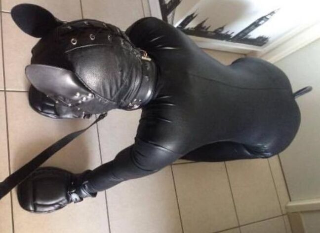Petplay bdsm