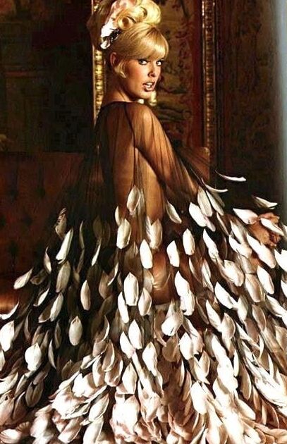 Lovely Anima