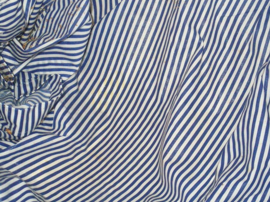 blue striped blouse pissing