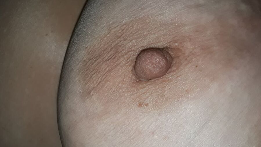 Nips at night