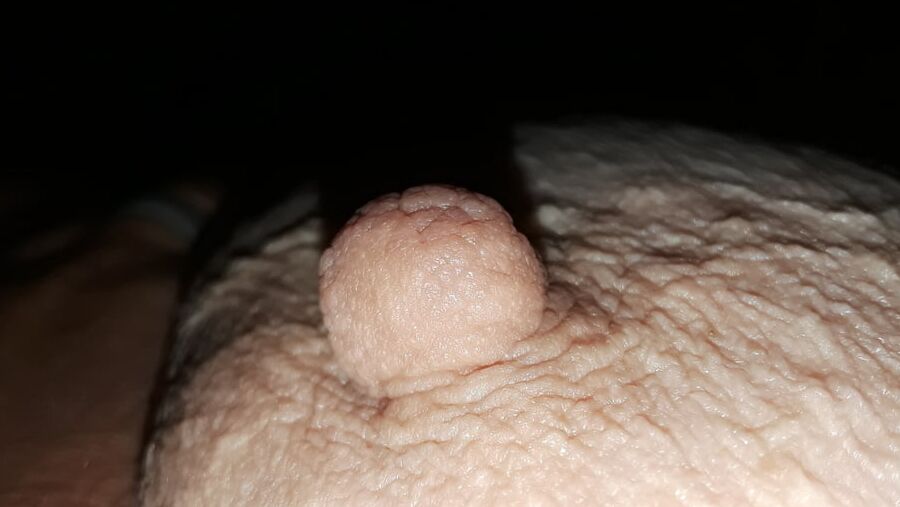 Nips at night