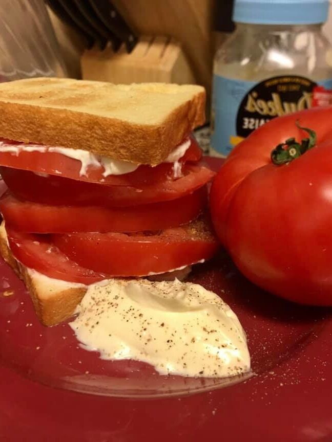 Thicc Sandwich Wench