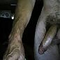 So so horny. Always..