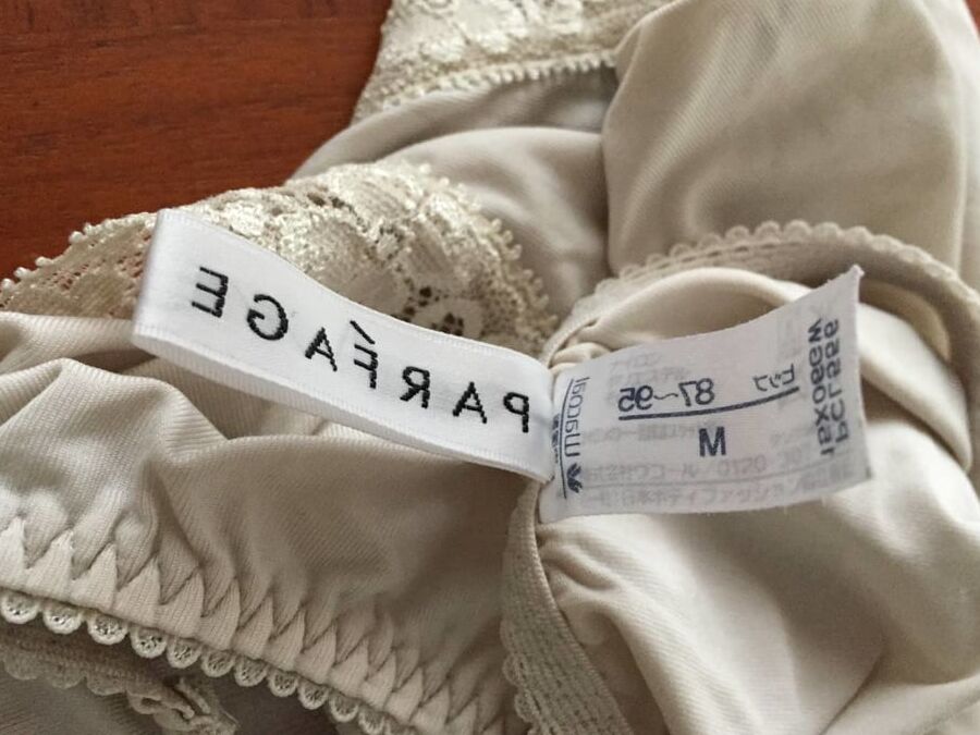 panties