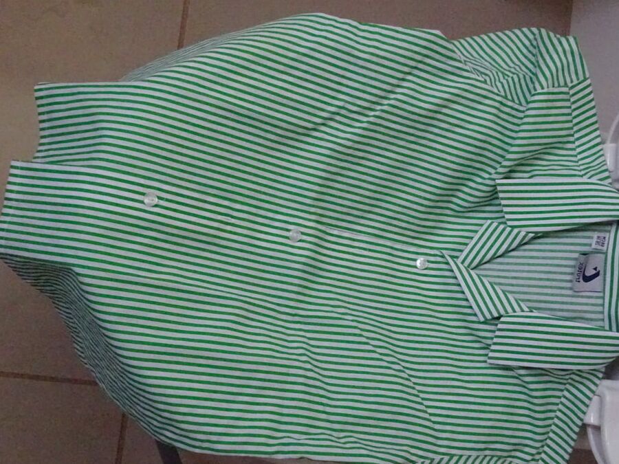 green striped blouse piss