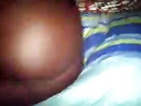 Ebony shemales