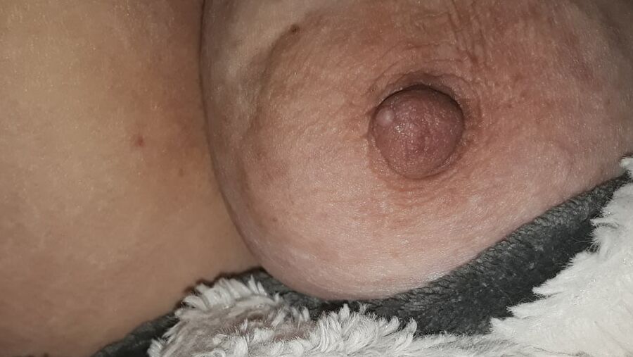 Nips at night