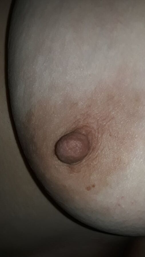 Nips at night