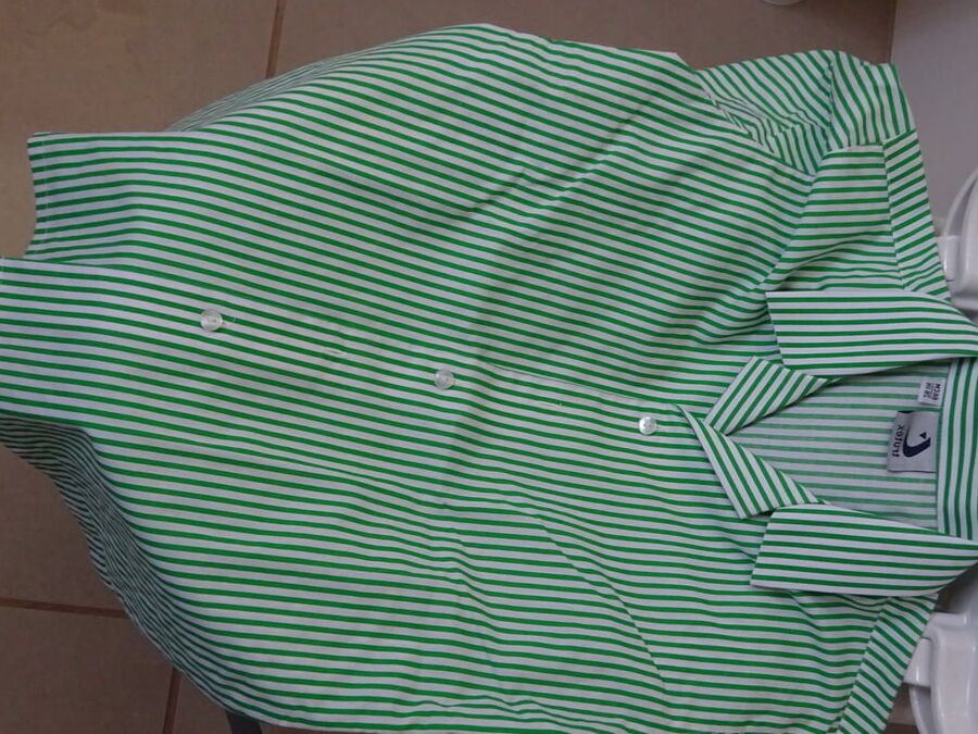 green striped blouse piss