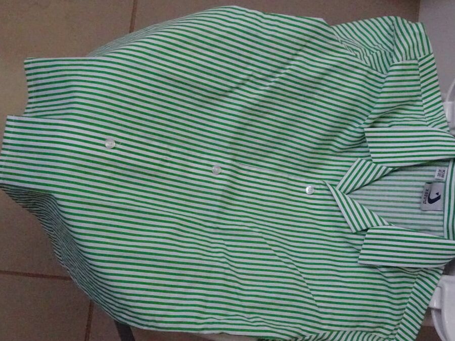 green striped blouse piss