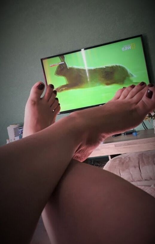 SFeetS