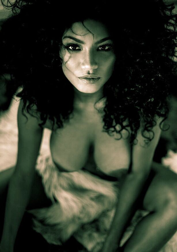 The Art of Ebony