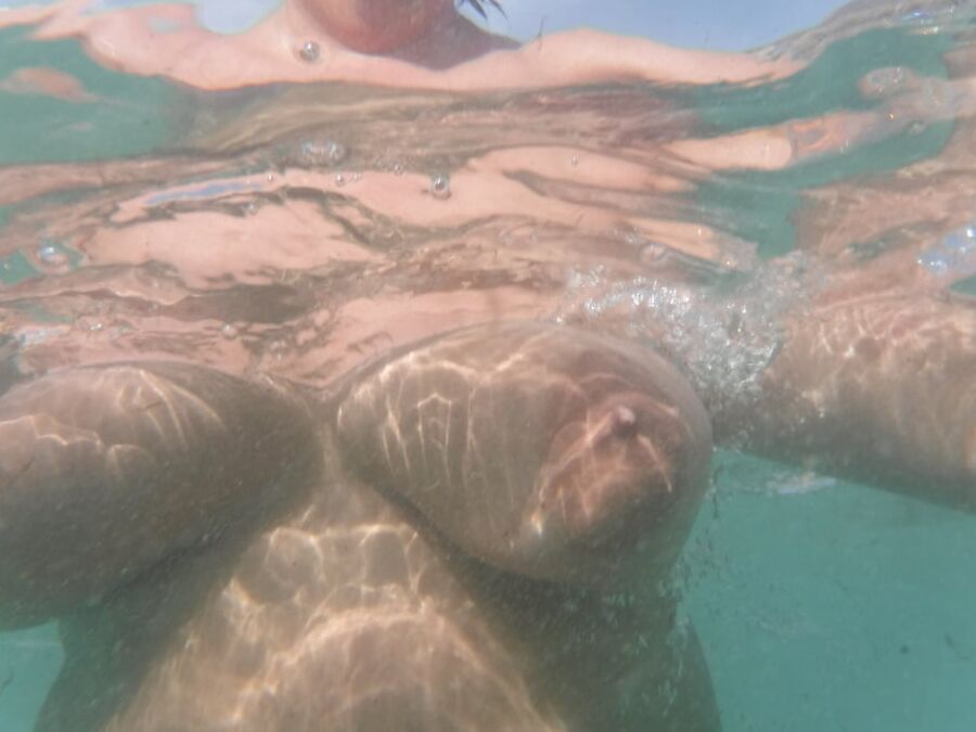 Water babe Canaries