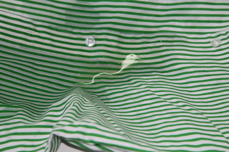 green striped blouse piss