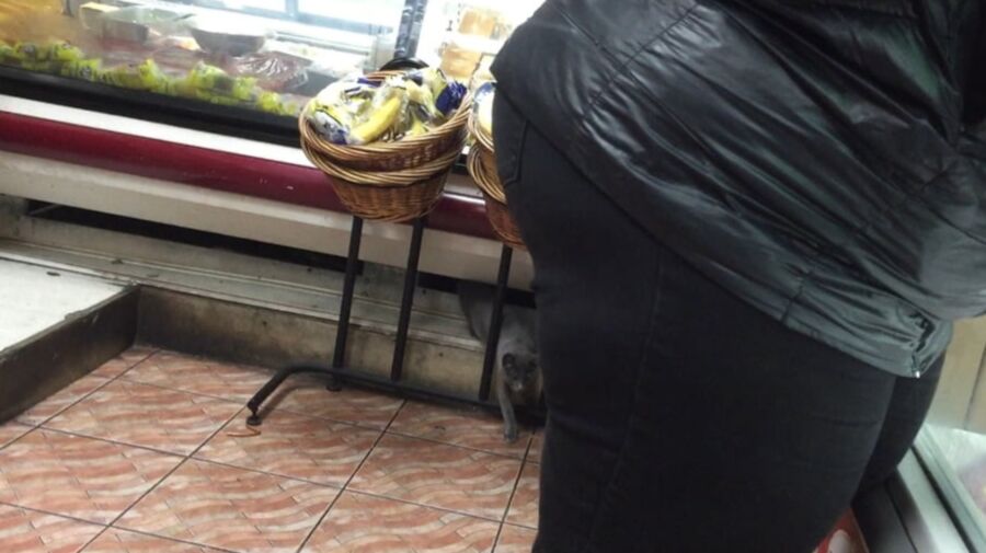 SSBBW PHAT ASS BUSTING OUT COAT