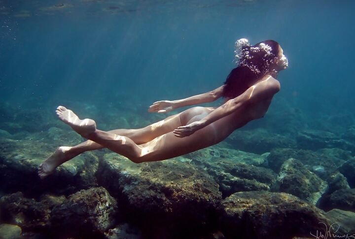 Water babe Canaries