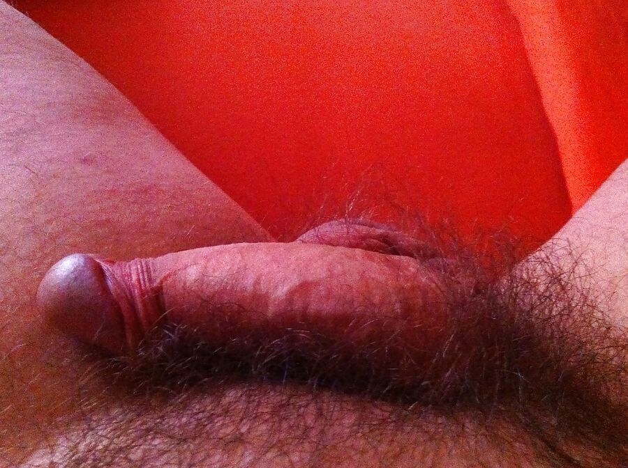 A morning on the bed