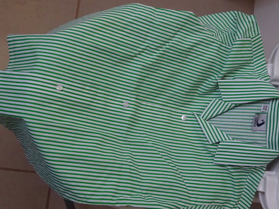 green striped blouse piss